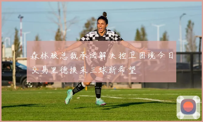 森林狼总裁承诺解决控卫困境今日交易里德换来三球新希望
