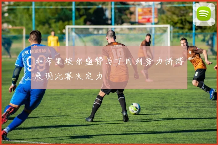 加布里埃尔盛赞马丁内利努力拼搏展现比赛决定力
